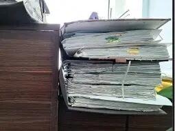 مجازات مرگ برای قاتل برادر ناتنی