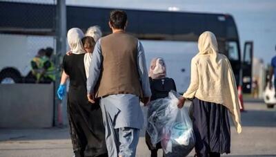 حضور ۴ میلیون اتباع غیرمجاز افغانستانی در کشور/ ضرب‌الاجل برای مهاجران غیرقانونی