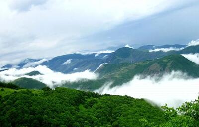 جنگل دیزمار ورزقان ؛ عروس زیبای کوه‌های آذربایجان