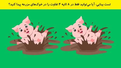 تست بینایی: آیا می‌توانید فقط در 8 ثانیه 4 تفاوت را در خوک‌های مزرعه پیدا کنید؟
