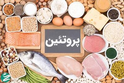 برای کاهش وزن کدام پروتئین مناسب است ؛ حیوانی یا گیاهی ؟