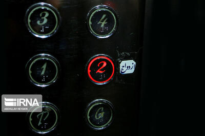 چندهمسری در واقعیت