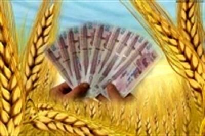 پرداخت ۲۶ درصد از مطالبات گندمکاران از ابتدای فصل خرید طی امسال تاکنون