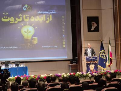 برنامه ریزی‌های خوبی برای تبدیل ایده به ثروت نداشته ایم