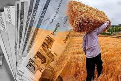 تسریع در پرداخت مطالبات و تعلیق جریمه‌ها تا ایجاد دفتر پیگیری مشکلات