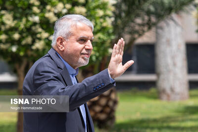 صالحی‌امیری: روند گردشگری میان ایران و مصر به‌زودی آغاز می‌شود