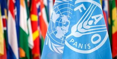بازگشت ایران به فائو؛ کشاورزی سنتی در انتظار اصلاحات اساسی