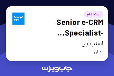 استخدام Senior e-CRM Specialist- SnappBimeh در اسنپ پی