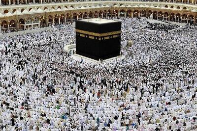 واکنش رئیس سازمان حج و زیارت به بازداشت قاسمیان در سفر حج