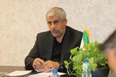 سعیدی: وزارت خارجه وظیفه خود در قبال اتباع ایرانی را انجام دهد