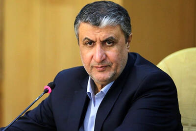 اسلامی: احتمال پذیرش بازرسان آمریکایی در صورت توافق