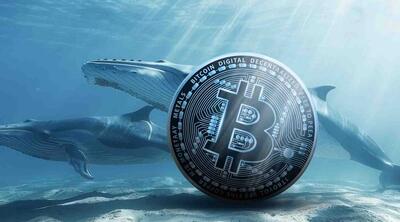 سیگنال مثبت نهنگ‌ها برای بیت‌کوین؛ انباشت حتی در اوج قیمت‌ها ادامه دارد!