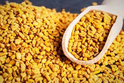 شنبلیله پرخاصیت برای تقویت ریشه و رشد مو - سبک ایده آل