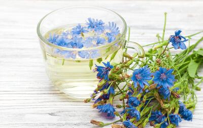 عرق کاسنی؛ اکسیر طبیعی برای تقویت کبد و پاکسازی بدن! - سبک ایده آل