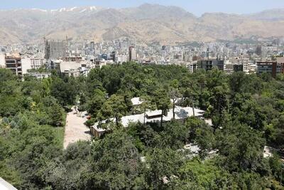 باغ، فقط با «نه گفتن» باغ نمی‌ماند؛ باغات قربانی ساده‌انگاری نشوند
