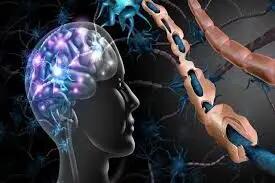 هوش مصنوعی، چشم جدید پزشکان برای پیگیری ام‌اس