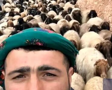 آواز محلی؛ چوپانه جلو میلیون ها گوسفند داره آهنگ میخونه ببعی ها سرخوش شدن چه خوش صداس