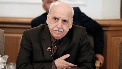 انتخاب مدنی‌زاده برای اقتصاد ایران یک فرصت است + ویدئو