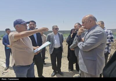 بازدید کارگروه رفع موانع تولید از واحدهای کشاورزی اسلامشهر - تسنیم