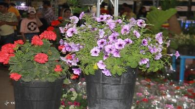 نمایشگاه تخصصی گل و گیاه تا ۹ خرداد دایر است