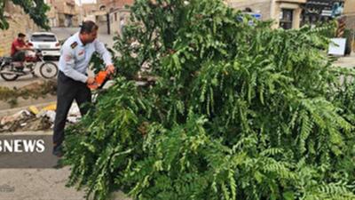 قطعی برق و خسارات طبیعی و مالی در پی وزش تندباد شدید در سقز
