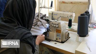 پرداخت افزون بر ۸۳۰ میلیارد ریال تسهیلات اشتغال در خراسان جنوبی