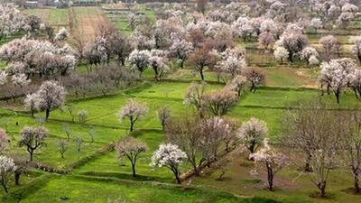 زنان قزوینی در حفظ میراث طبیعی نقش آفرینی کنند