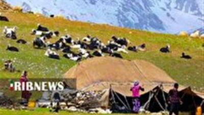 توزیع ۳ هزار تن علوفه دامی در لرستان