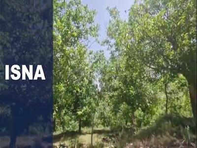 آبشار «دره‌غار» ملایر؛ از دل طبیعت تا ثبت ملی