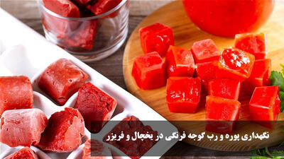 طرز نگهداری پوره و رب گوجه فرنگی در یخچال و فریزر برای مدت طولانی