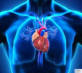 اگر مشکل قلبی دارید به این غذاها لب نزنید