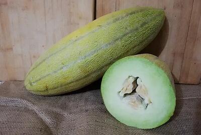 خوردن همزمانِ خربزه و عسل واقعا مضر است؟ / مصرف ماست و ترشی بالاخره باعث لک و پیس می‌شود یا نه؟