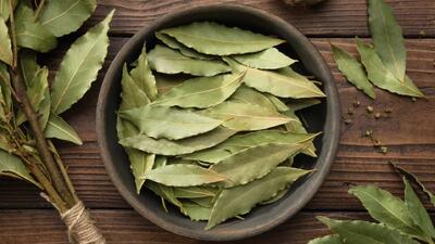 برگ این گیاه ضد سنگ کلیه، ضد دیابت، ضد نفخ، ضد کلسترول است!