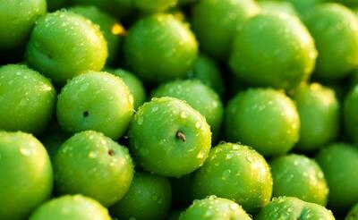 طرز نگهداری گوجه سبز به مدت طولانی