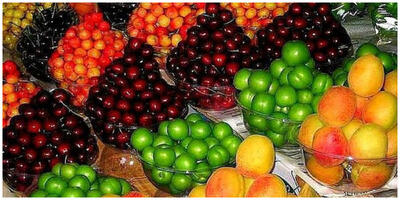 علت افزایش قیمت میوه چیست؟