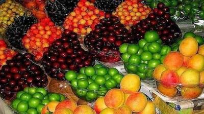 نوبرانه ها قدری آرام گرفتند