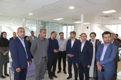 تا سال ۱۴۰۸ باید ۳۰ هزار شرکت دانش بنیان در کشور راه اندازی شود