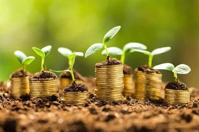 نقش کلیدی سرمایه‌گذاری در تأمین امنیت غذایی و توسعه پایدار