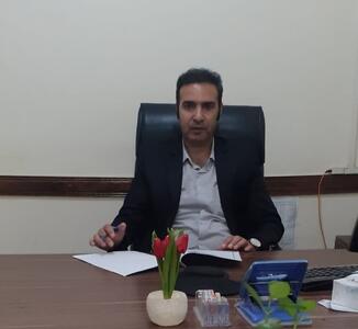 افزایش ۴ هزار هکتاری مبارزه با سن گندم در ایلام/ریزش سن مادر امسال زودتر از سال‌های گذشته گزارش شد 