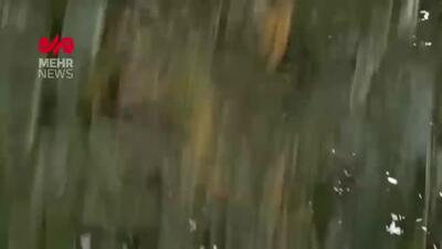 تصاویر جدید از حادثه تیراندازی تویسرکان