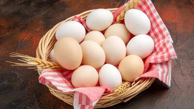 متفورمین؛ داروی دیابت که تخم‌گذاری مرغ‌ها را افزایش می‌دهد