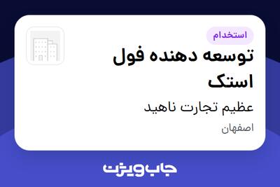 استخدام توسعه دهنده فول استک در عظیم تجارت ناهید