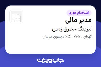استخدام مدیر مالی در لیزینگ مشرق زمین