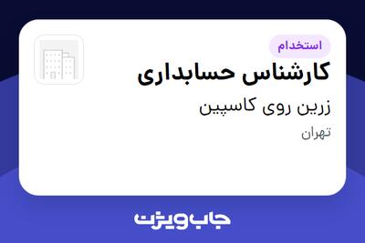 استخدام کارشناس حسابداری در زرین روی کاسپین