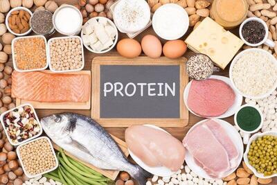 پروتئین گیاهی یا حیوانی؛ برای مدیریت وزن چه بخوریم؟