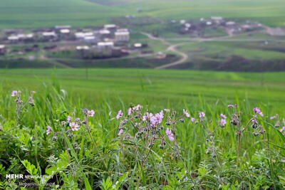 ۳۰ روستای گرمی خالی از سکنه