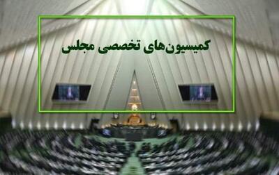 نگاهی به عملکرد کمیسیون‌ها در سال اول فعالیت مجلس دوازدهم | رویداد24
