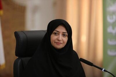 شینا انصاری: وضعیت معیشت و رفاه کارکنان محیط زیست بهبود می‌یابد