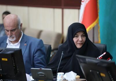 رشد 63 درصدی جلب مشارکت‌های مردمی در البرز - تسنیم