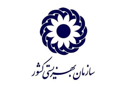 سازمان بهزیستی به‌تنهایی می‌تواند یک وزارتخانه باشد - تسنیم